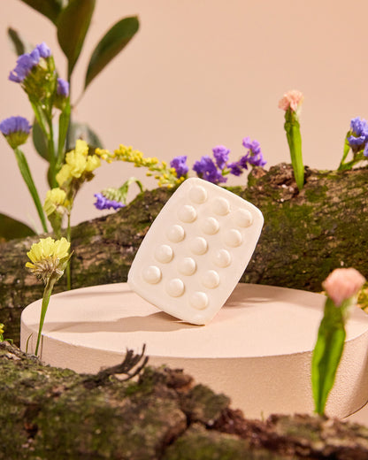 Kit de Viaje x 6 unidades